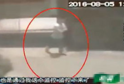 美女成人视频,一场视觉与情感的盛宴